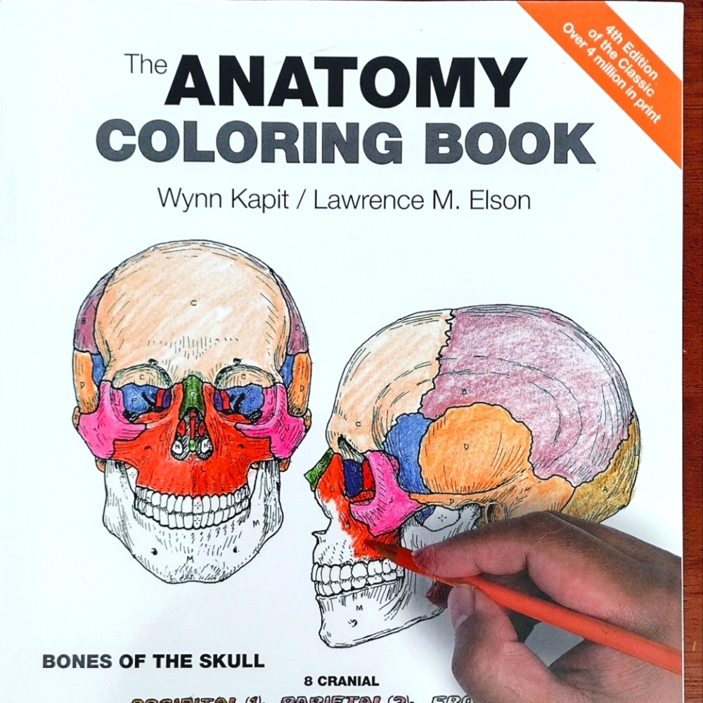 The Anatomy Coloring Book